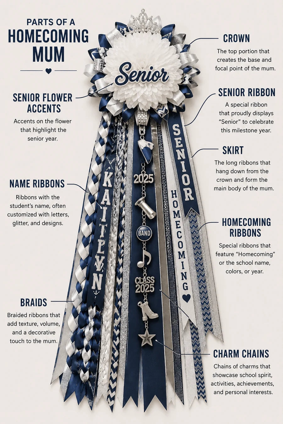 Labeled diagram of a homecoming mum showing the crown, ribbon skirt, braids, name ribbons, homecoming ribbons, senior ribbon, senior flower accents, and charm chains.